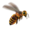 compagnon-abeille.png?2022188751