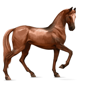 ridehest polsk konik fuks
