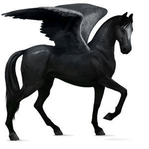 ridepegasus berberhest svart