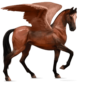 ridepegasus knabstruper brun med flekkete teppe