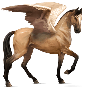 ridepegasus tennessee walker svart