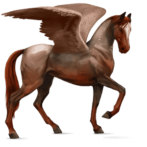 ridepegasus fullblodshest brun