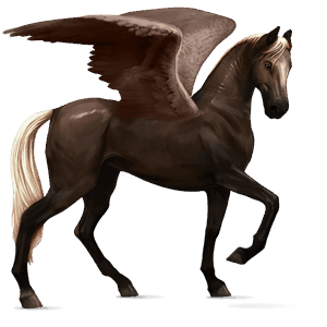 ridepegasus american paint horse mørkebrun tobiano