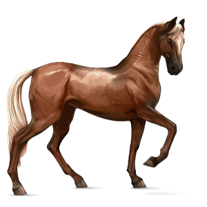 ridehest quarter horse linfarget fuks