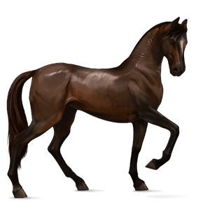 ridehest quarter horse rødbrun