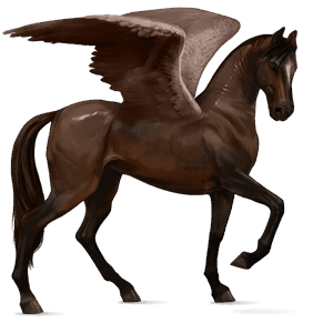 ridepegasus quarter horse svart fuks