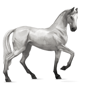 ridehest tinker mørkebrun tobiano