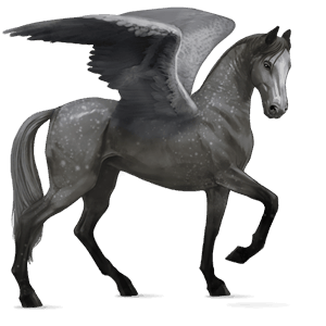 ridepegasus lipizzaner epleskimmel