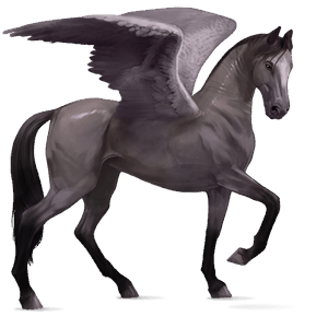 ridepegasus camargue flueskimmel grå
