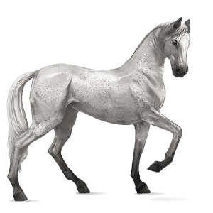 ridehest lipizzaner lys grå