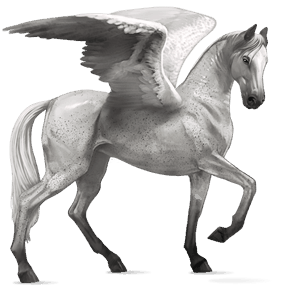 ridepegasus holsteiner lys grå
