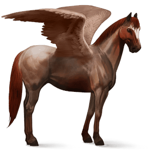 ridepegasus quarter horse rødskimmel