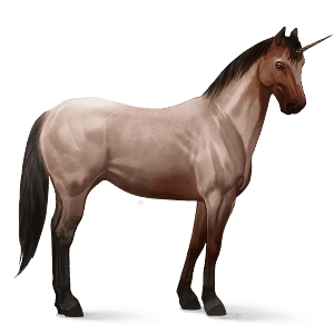 ride-enhjørning skimlet