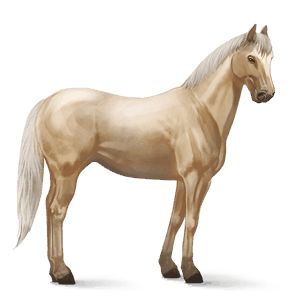 ridehest quarter horse cremello