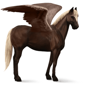 ridepegasus mustang rødskimmel