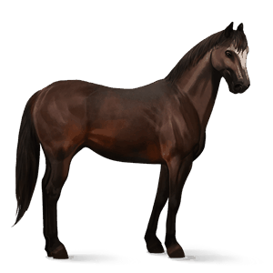 ridehest mustang svart fuks