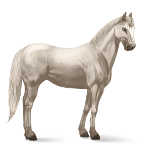 ridehest american paint horse overo fuks flekket