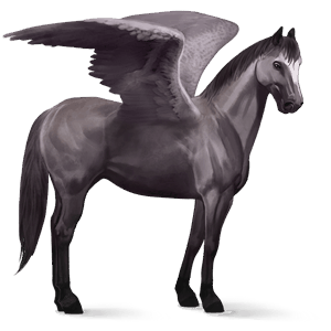 ridepegasus hanoveraner musegrå