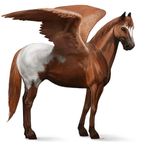 ridepegasus rødbrun med flekkete teppe