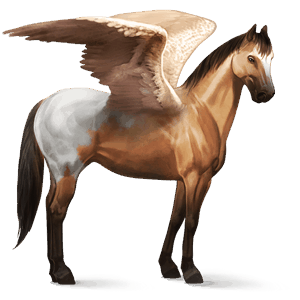 ridepegasus american paint horse brun tobiano