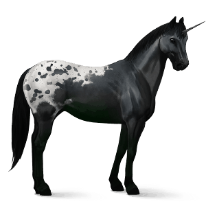 ride-enhjørning quarter horse linfarget fuks