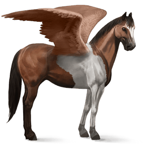 ridepegasus american paint horse overo fuks flekket