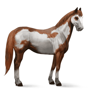 ridehest american paint horse overo fuks flekket