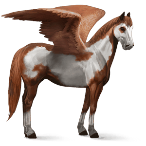 ridepegasus american paint horse overo fuks flekket