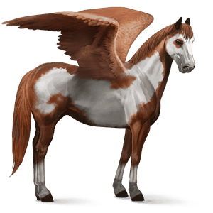 ridepegasus overo fuks flekket