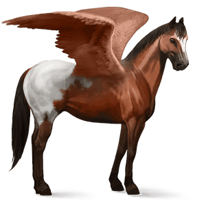 ridepegasus quarter horse rødskimmel
