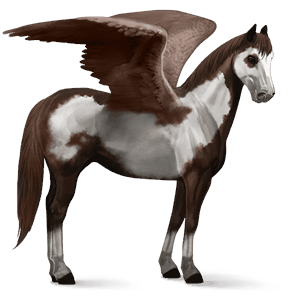 ridepegasus american paint horse leverfuks overo