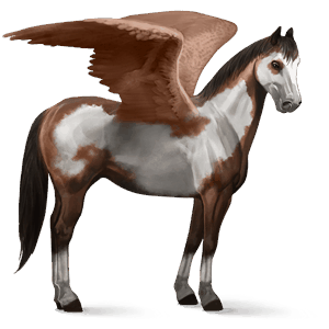 ridepegasus american paint horse brun overo