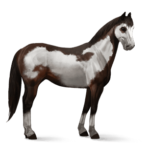 ridehest lipizzaner lys grå
