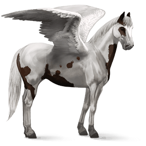 ridepegasus quarter horse fuks