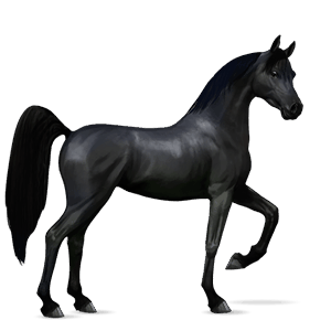 ridehest tennessee walker leverfuks