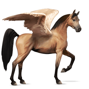 ridepegasus arabisk hest blakk