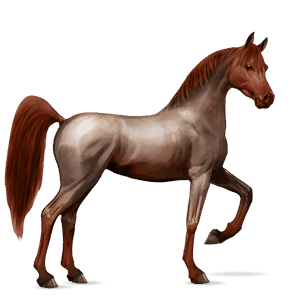 ridehest leverfuks