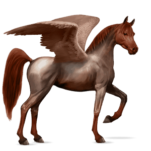 ridepegasus fullblodshest rødskimmel