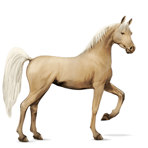 ridehest lys grå