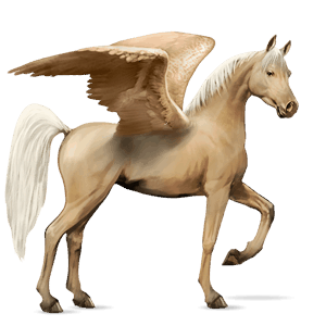 ridepegasus arabisk hest svart fuks