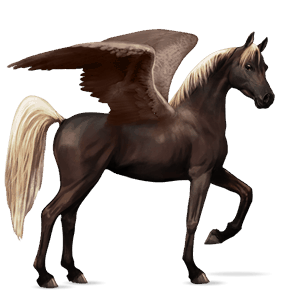 ridepegasus argentinsk criollo svart med flekkete teppe