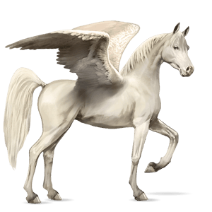 ridepegasus nokotahest skimlet