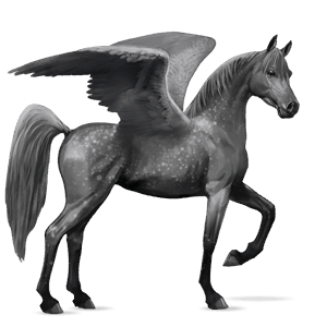 ridepegasus arabisk hest epleskimmel