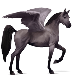 ridepegasus arabisk hest musegrå