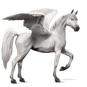 pegasus-ponni lys grå