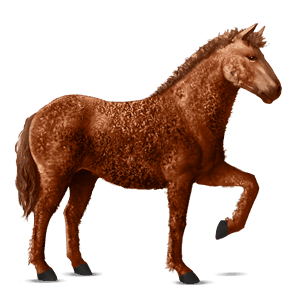 ridehest argentinsk criollo fuks tovero 