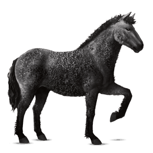ridehest akhal-teke epleskimmel