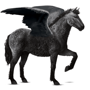 ridepegasus curlyhest svart