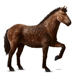 ridehest akhal-teke brun