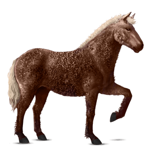 ridehest mustang fuks